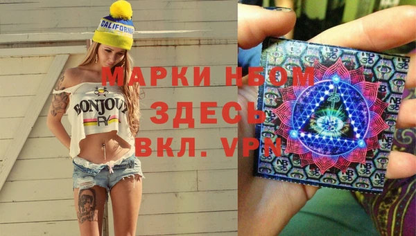 метадон Алексин