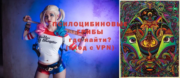 метадон Алексин