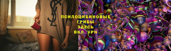 метадон Алексин